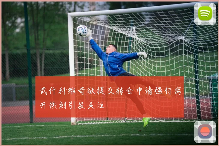 武什科维奇欲提交转会申请强行离开热刺引发关注