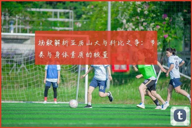 杨毅解析亚历山大与科比之争：节奏与身体素质的较量