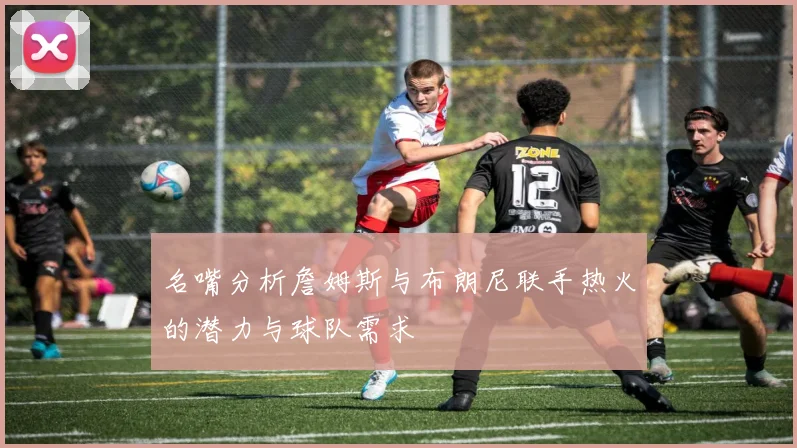 名嘴分析詹姆斯与布朗尼联手热火的潜力与球队需求